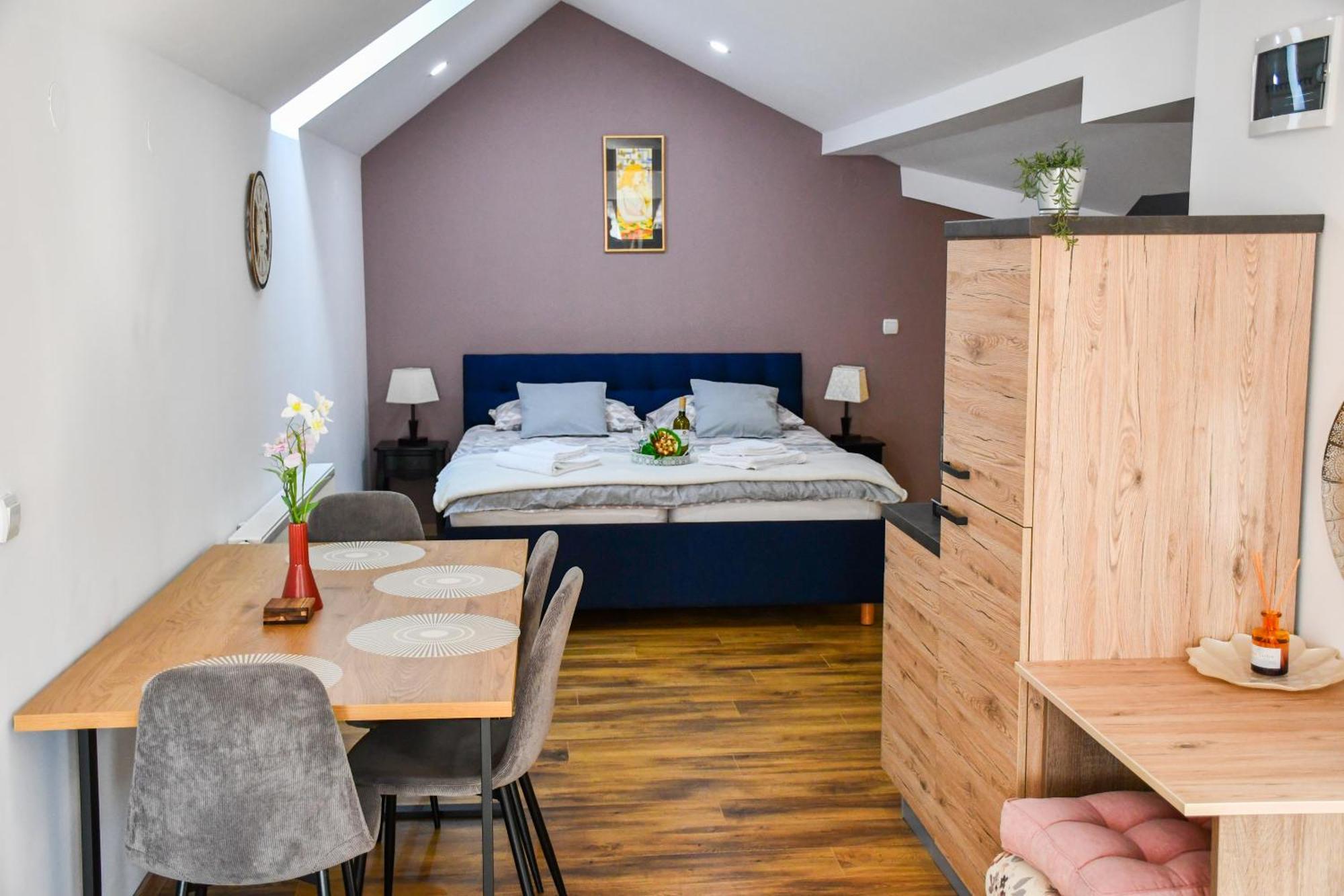 Studio Apartment Oaza Sisak Extérieur photo